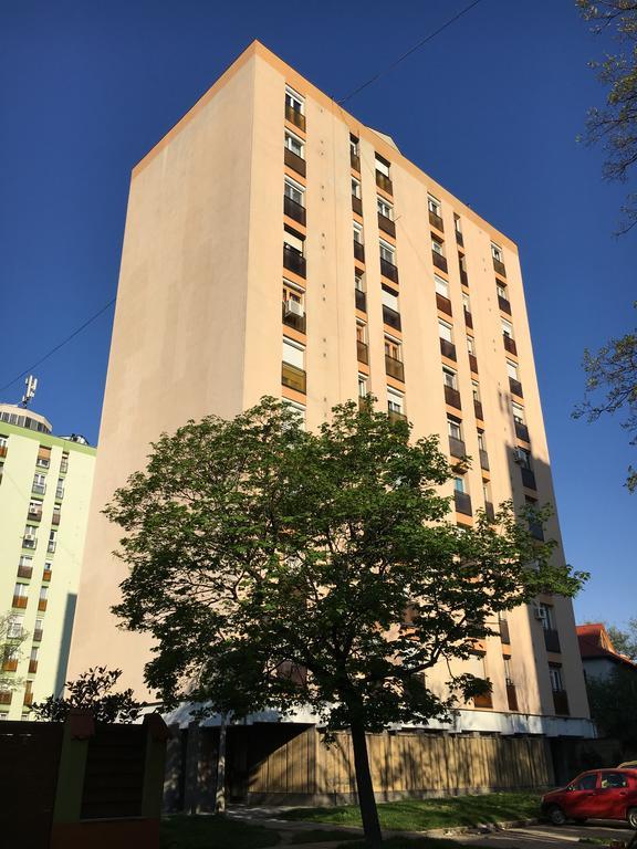 Hetedik Apartman Pecs Bagian luar foto